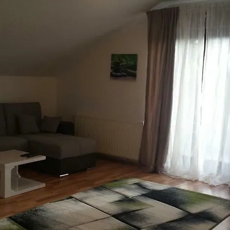 Apartma Rodica アパート